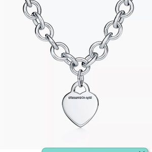 Tiffany & Co. Chain Link Necklace